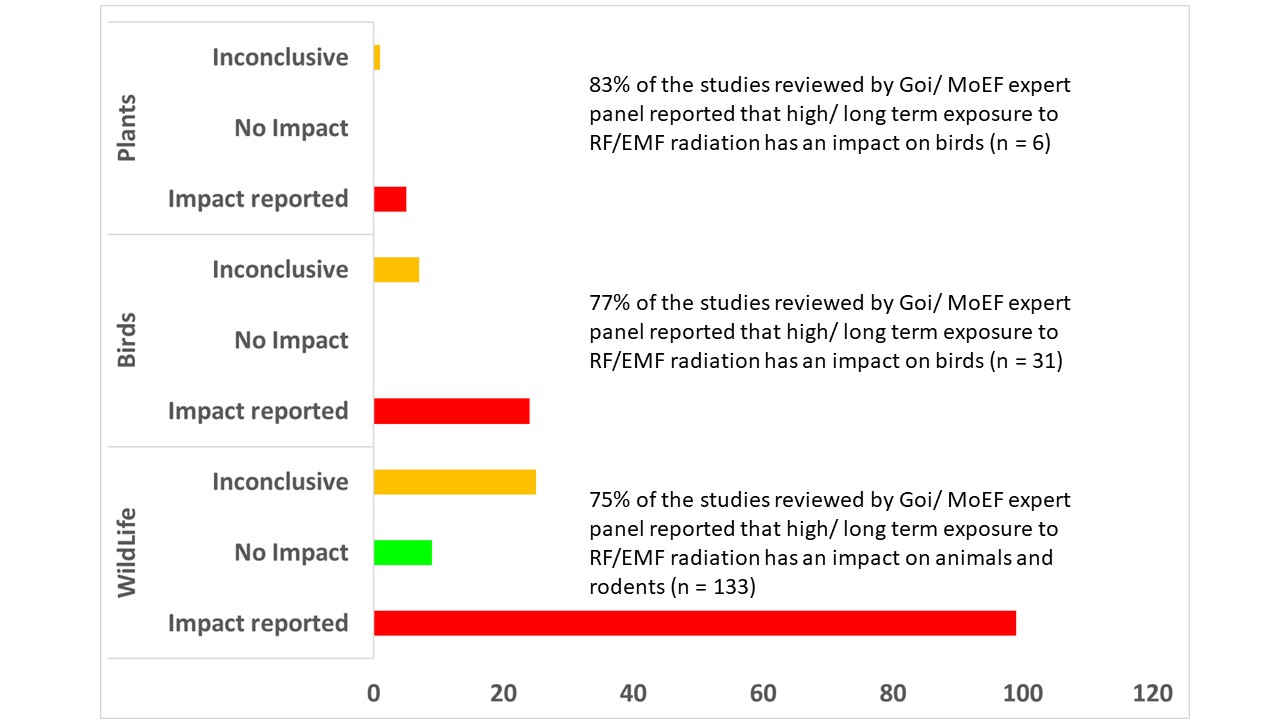 cell phone tower radiation and birds